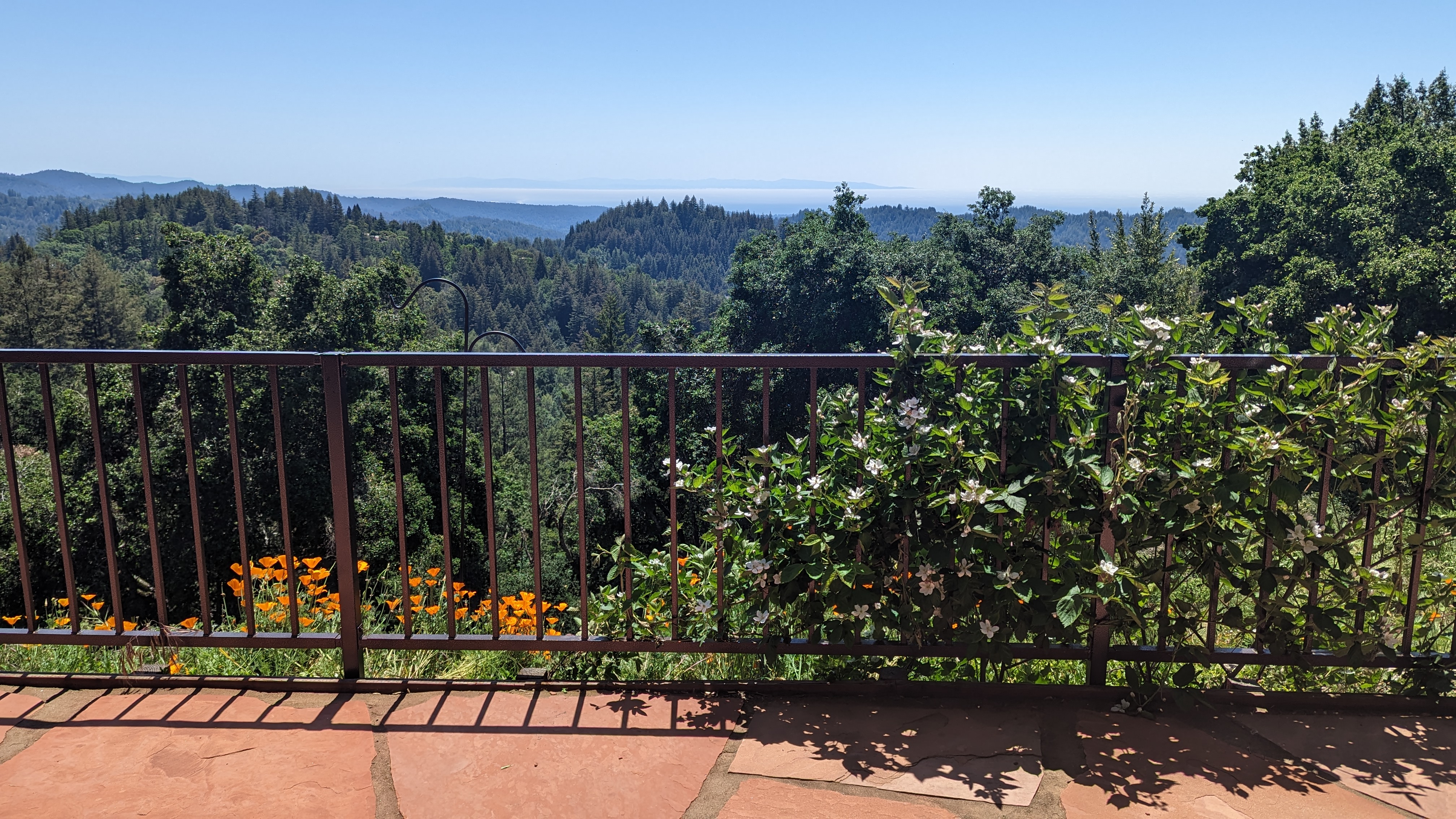 Corporate team event at Living Well in Santa Cruz Mountains